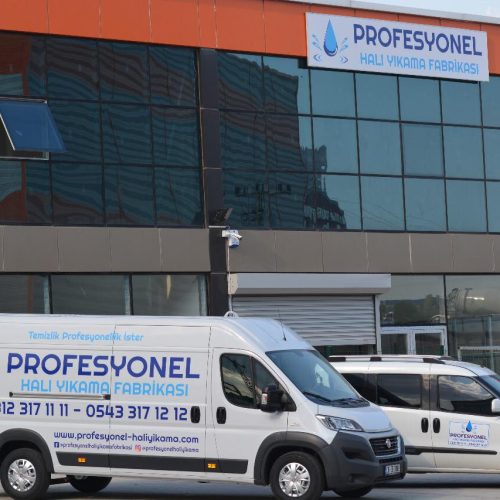 Ankara Çayyolu Halı Yıkama v16